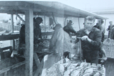 The busy Merasheen fish plant wharf in 1961.&amp;nbsp; Freddy Best, with a crate of fish. Din Pat Walsh splitting on the left, Aiden Best cutting, Angus Pitcher heading and gutting.&amp;nbsp; Way in the back-right is Lar Pitcher who may well be working in the Cod Oil Factory at that time but, come hell or high water, he’ll be fishing soon with son Angus and Martin Connors jr. will team up with him as well.&amp;nbsp; Lar said that Martin was one of the best hard working fishermen that he ever seen.&amp;nbsp;